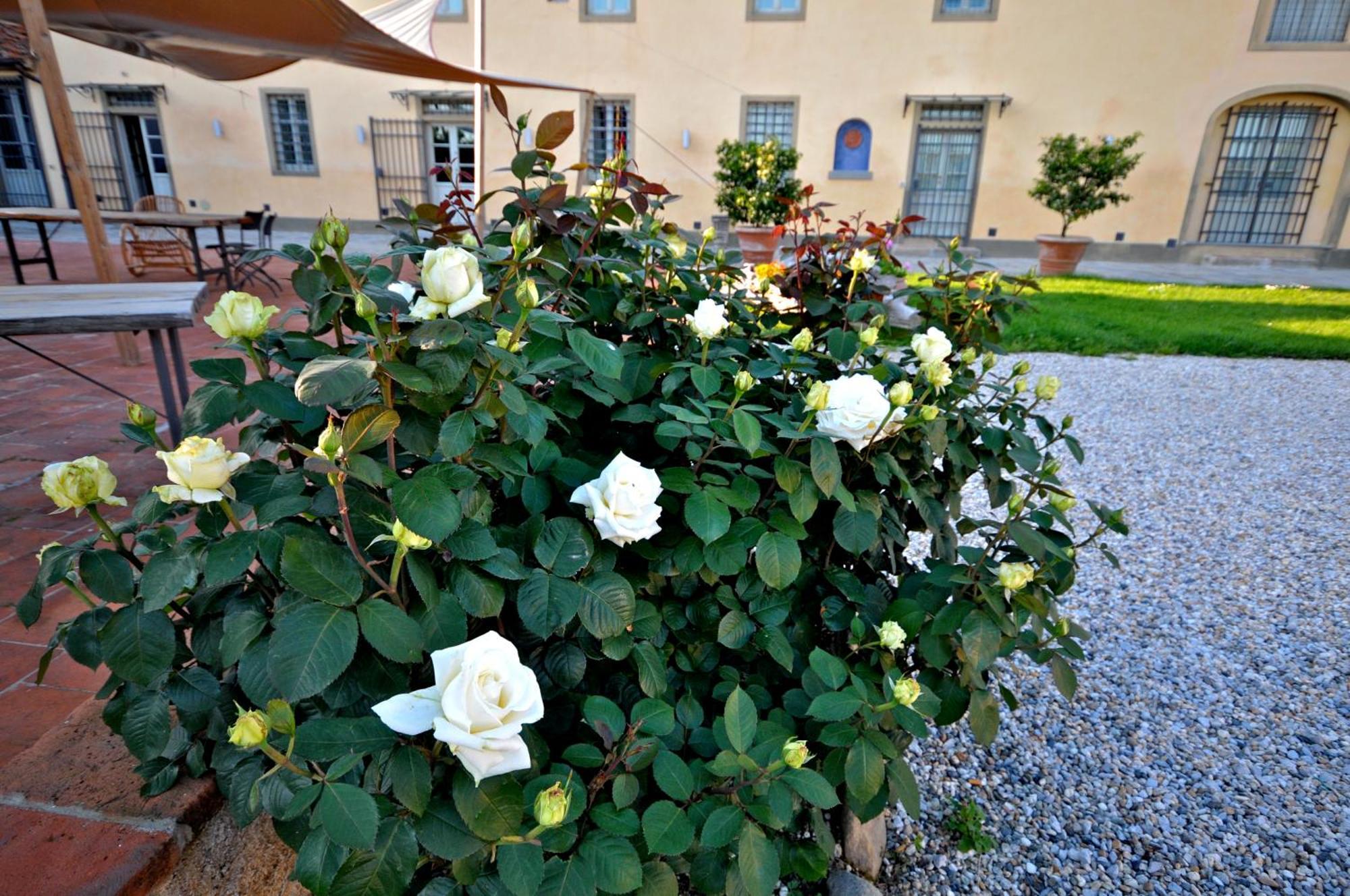 Agriturismo San Rocco Пистойя Экстерьер фото